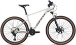 Xe đạp địa hình thể thao Giant XTC 820 29 2024***